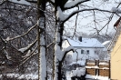 Winter 2010-11